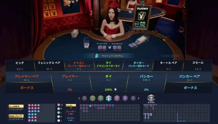 バカラプレイボーイ(Baccarat Playboy)