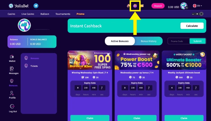 ボーナスページ