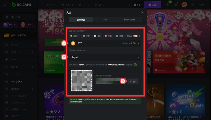 BC.GAMEの入金画面