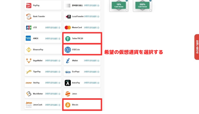 テッドベットカジノの入金画面