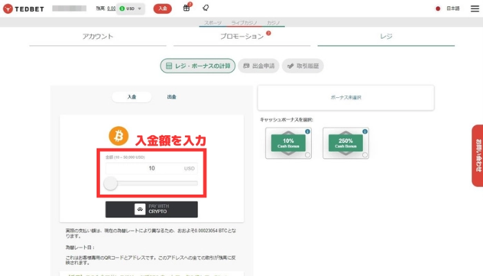 テッドベットカジノの入金画面