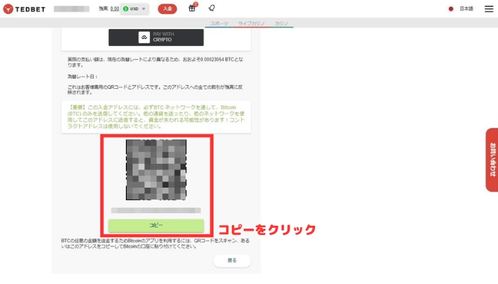 テッドベットカジノの入金画面