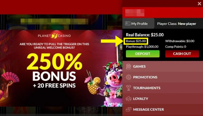 入金不要ボーナスを確認