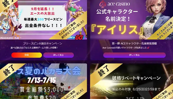 エースカジノその他ボーナス