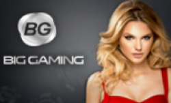 BIG GAMINGのアイコン