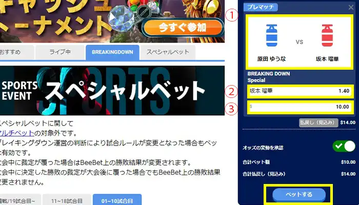 ビーベットブレイキングダウンベット02