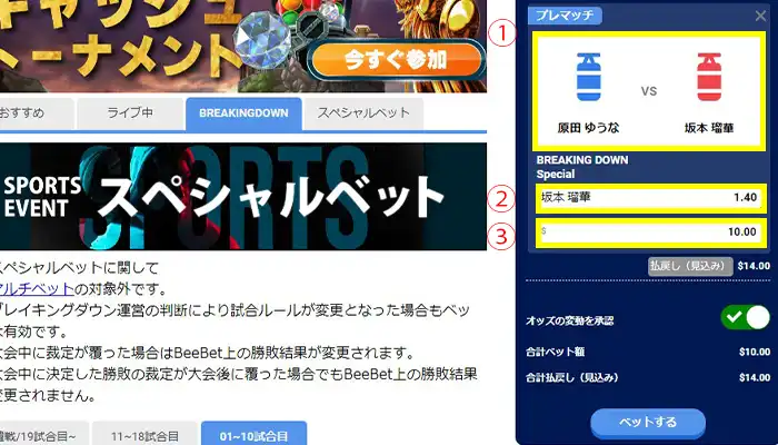 ビーベットブレイキングダウンベット01