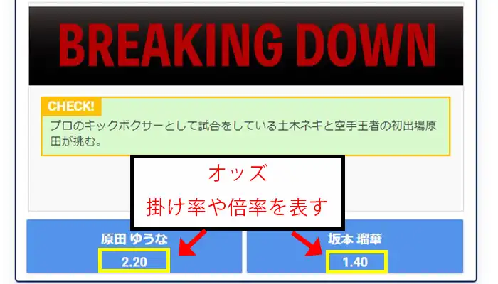 ビーベットブレイキングダウンオッズ