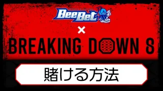 ビーベットブレイキングダウンアイキャッチ画像