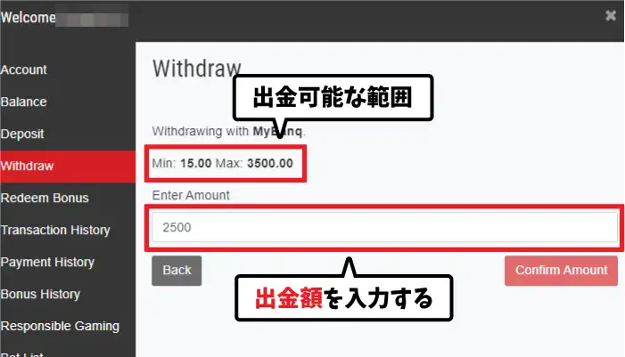 ベットレベルズの出金方法03
