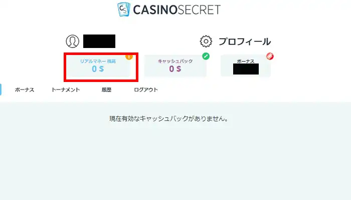 カジノシークレット残高