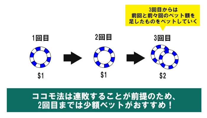 ココモ法の使い方01