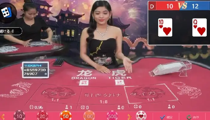 ドラゴンタイガーとは