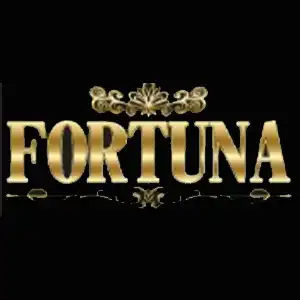 フォートゥナカジノアイコン