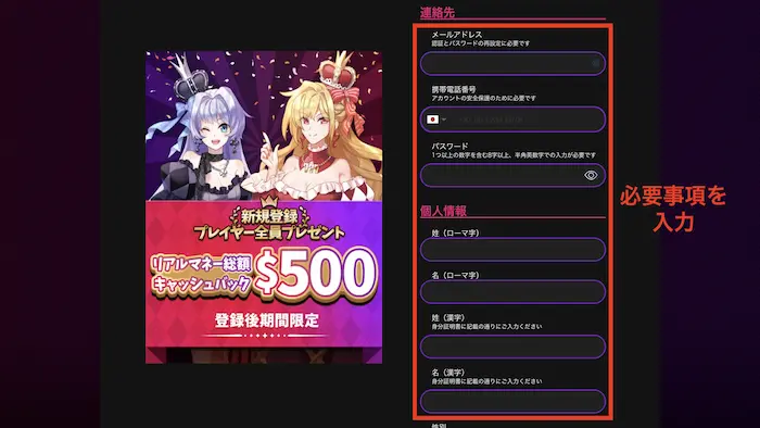 情報入力画面：インターカジノの登録方法