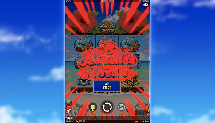 ハワイアンドリームプレイ03