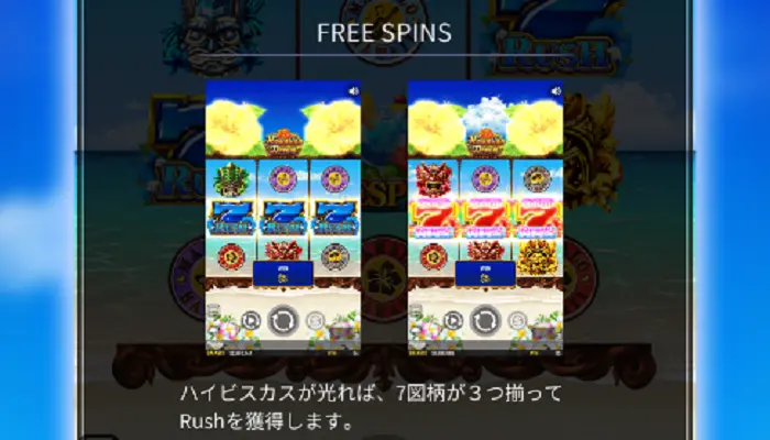 Hawaiian Dreamのボーナス